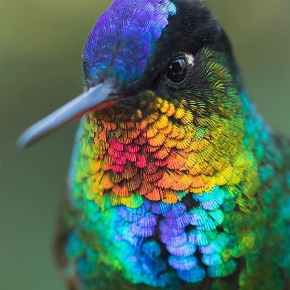 Meet your Posher, Karrie